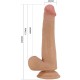Dildo Realístico con Escroto TALLEN 22 cm.