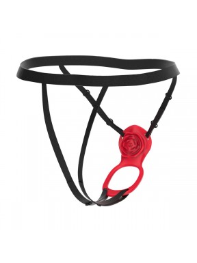 Arnés Vibrador Femenino TEAZERS