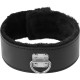 Collar con Cadena Forrado DARKNESS