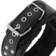Collar con Cadena Forrado DARKNESS