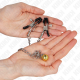 Pinzas Pezones con Cadena Cascabel KINK